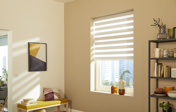 Somfy - duo roller blind